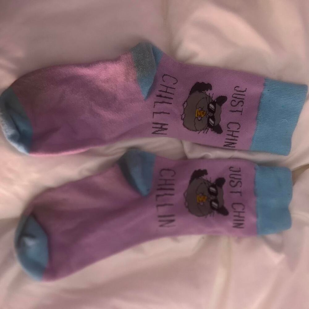 Pink and blue just chinchillin